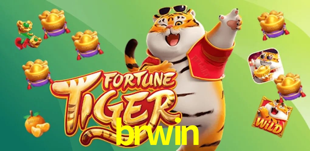 Experiência VIP brwin